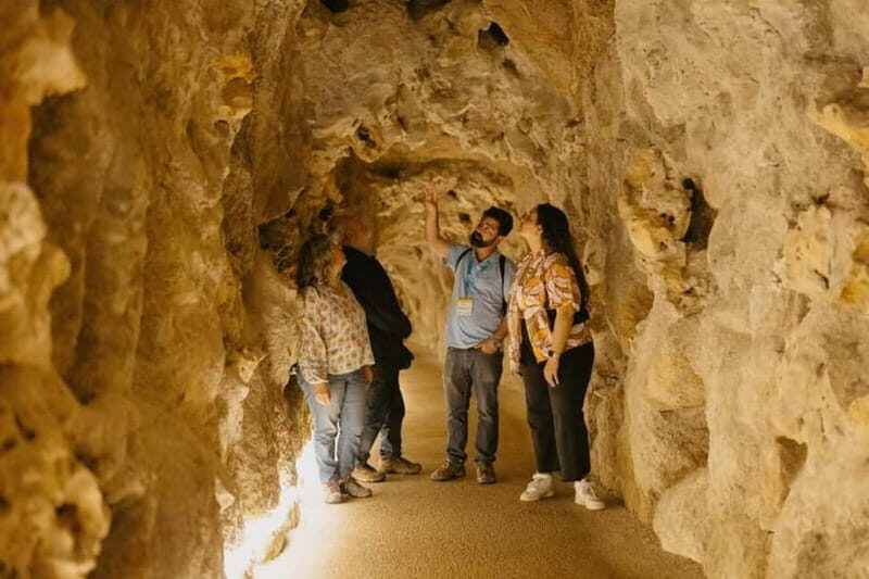 Sintra: Quinta da Regaleira Guided Tour with Entry Ticket - Key Points