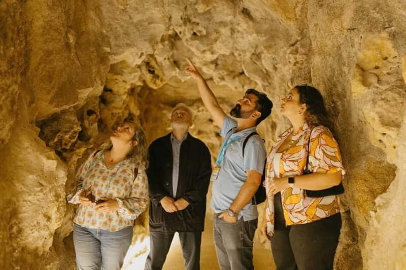 Sintra: Quinta da Regaleira Guided Tour with Entry Ticket - FAQ