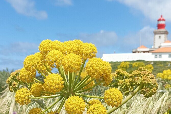 Sintra Tuk Tuk Tour. Mountain Monuments and Beaches - An In-Depth Look at the Sintra Tuk Tuk Tour