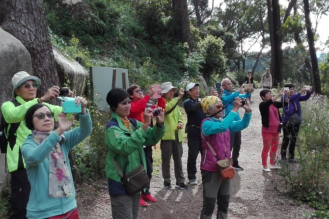 Sintra with tickets to monuments private tour from Lisbon - Final Thoughts: Is This Tour Right for You?