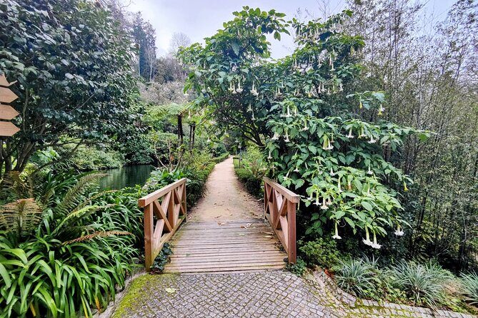 Sintra's Mystical Palaces: Private Walking Tour - A Closer Look at the Itinerary