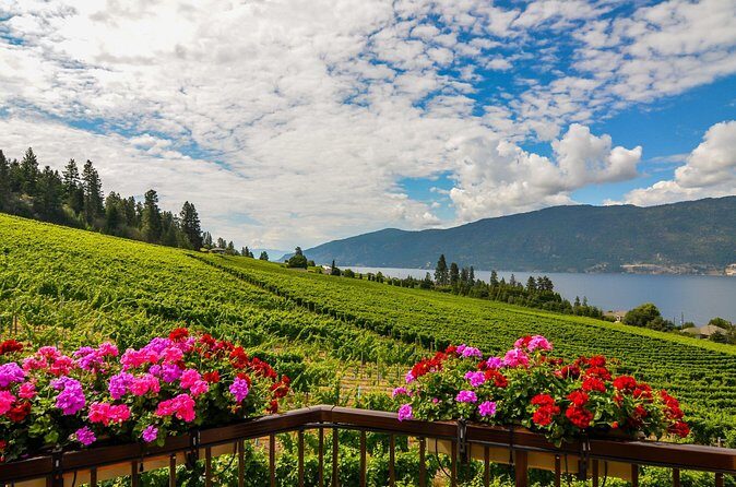 Sip & Savor: Private West Kelowna Wine Trail Escape - Final Thoughts