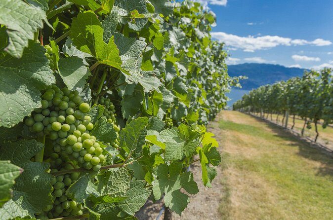 Sip & Savor: Private West Kelowna Wine Trail Escape - FAQ