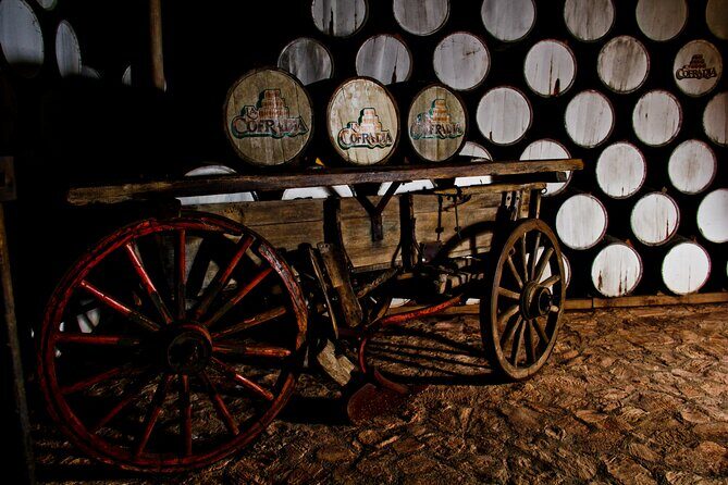 Sip & Savor Tequila Experience Distillery w/ Lunch fr Guadalajara - Key Points