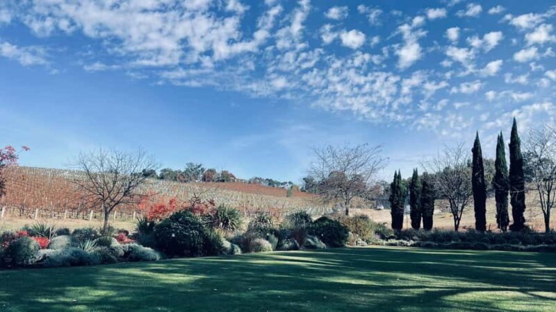 Sip & Scenic: Adelaide Hills - Exploring the Sip & Scenic: Adelaide Hills Tour