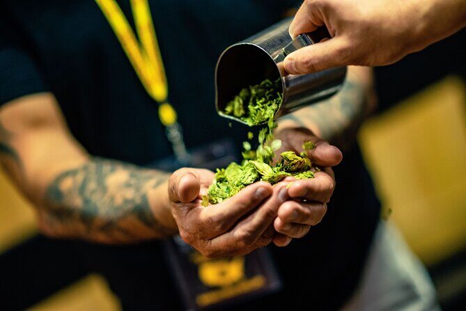 Sip, Stroll, and Discover Phoenix's Best Breweries - Frequently Asked Questions