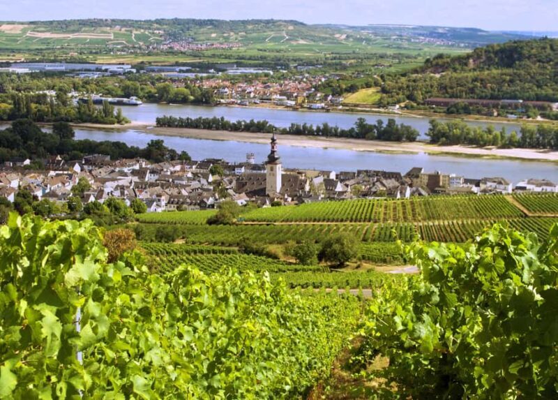 Sip Wine Along the Rhine - Grape Day out from Frankfurt - Sip Wine Along the Rhine - Grape Day Out from Frankfurt