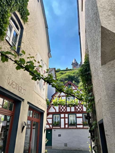 Sip Wine Along the Rhine - Grape Day out from Frankfurt - Key Points