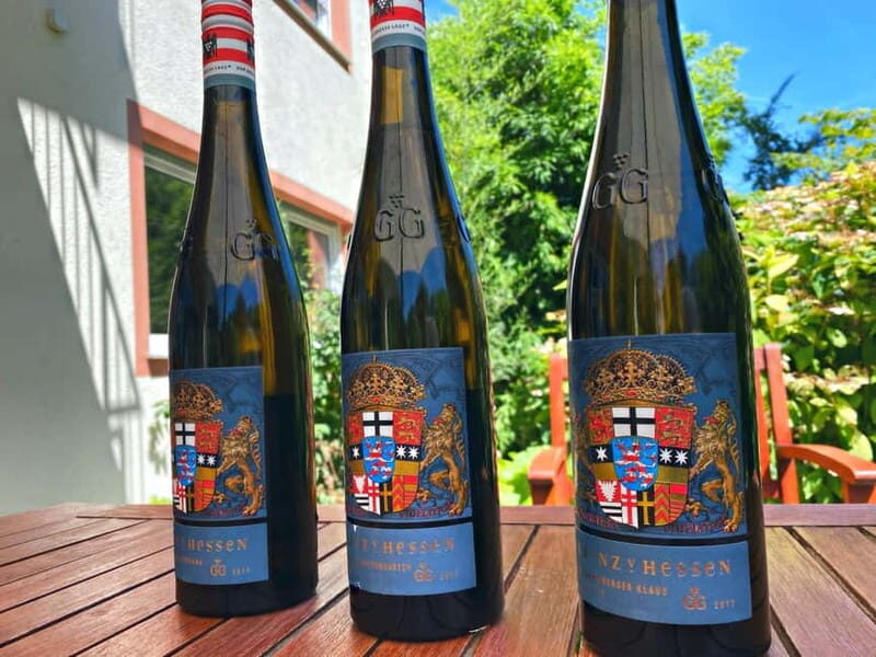 Sip Wine Along the Rhine - Grape Day out from Frankfurt - Final Verdict