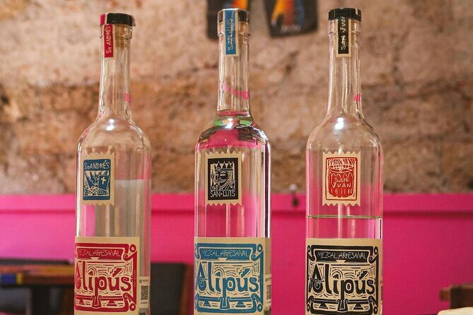 Sips and Savor: Mexico Citys Mezcal Tasting Adventure & Mariachi - What Travelers Appreciate and What to Consider