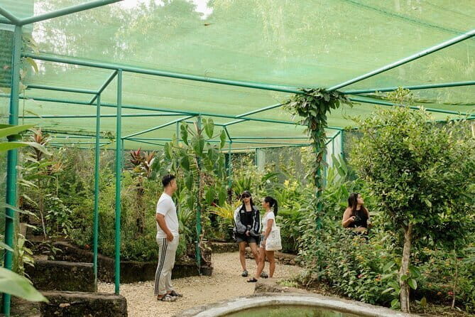 Siquijor Tour from Bohol Shared Tour - The Itinerary in Detail