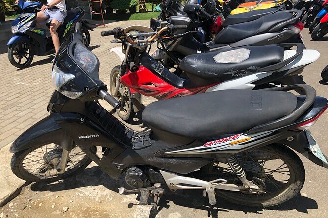 Siquijor: Transport-Car-Van-MotorBike - Who Will Love This?