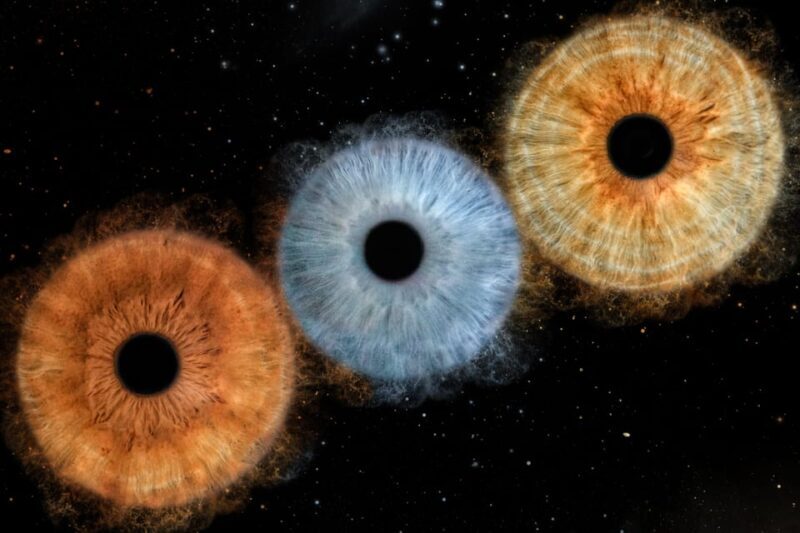 Siracusa Iris Photography Experience - Key Points