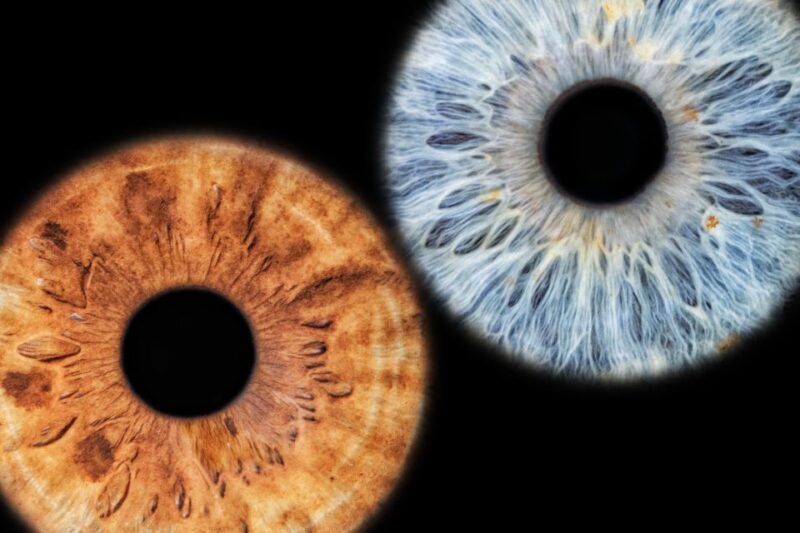 Siracusa Iris Photography Experience - Final Thoughts: Who Should Consider This Activity?