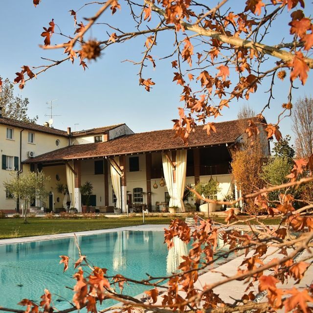 Sirmione: Vineyard Tour with Lugana Wines and Local Tastings - What You Can Expect on the Tour