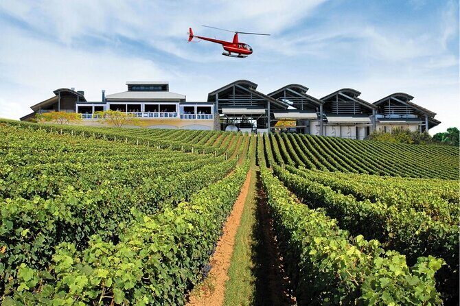 Sirromet Winery + CBD & Mt Coot-tha Private Helicopter Experience - The Itinerary Breakdown: From Sky to Ground