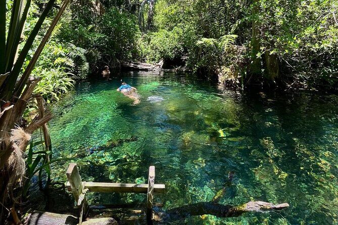 Sisal Mangrove and Beach Kayak Tour From Merida - What Travelers Say