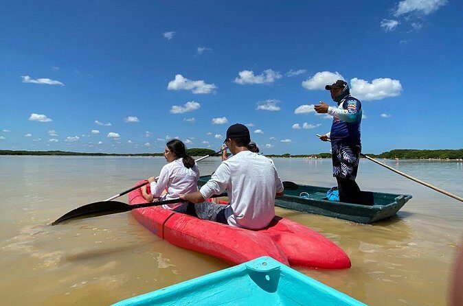 Sisal Mangrove and Beach Kayak Tour From Merida - Frequently Asked Questions
