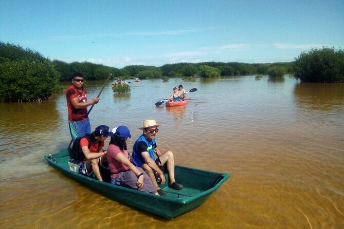 Sisal Mangroves & Beach Expedition from Merida - Introduction to the Sisal Mangroves & Beach Expedition