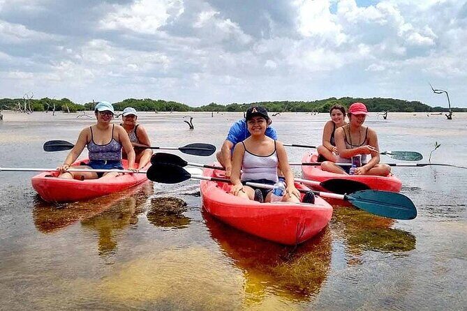 Sisal Mangroves & Beach Expedition from Merida - Value and overall impressions