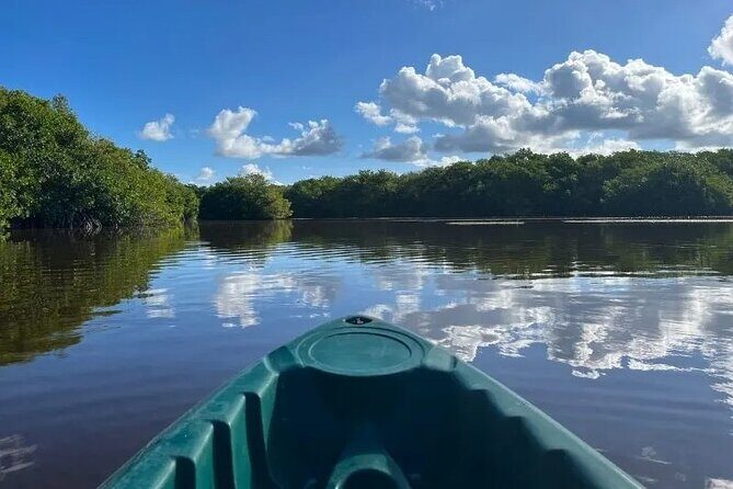 Sisal & Mangroves Kayak Tour from Merida - The Sum Up