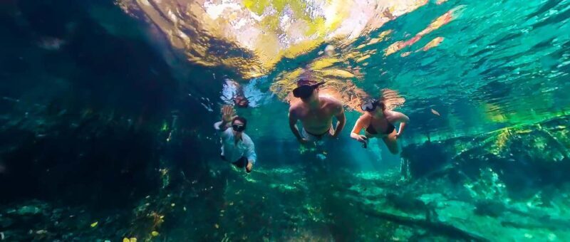 Sisal: Picnic PREMIUM en medio del mar y snorkel manantial - The Itinerary in Detail