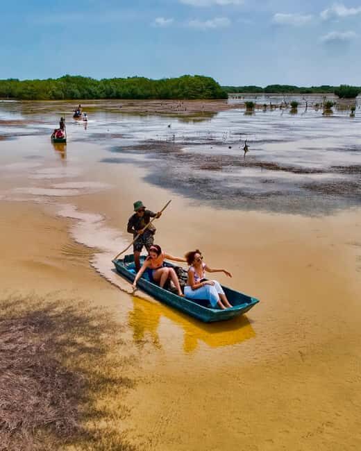 Sisal Yucatán: Flamingo Safari Tour Mangroves - An In-Depth Look at the Flamingo Safari Tour