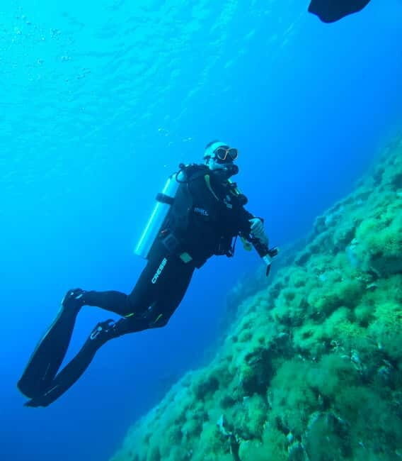 Sithonia: 1 Guided Shore Dive for Certified Divers - Final Thoughts