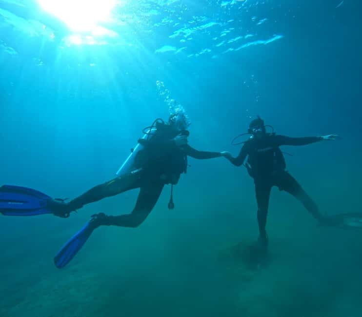 Sithonia: Scuba Diving Experience for Beginners - Who Is This Tour Best For?