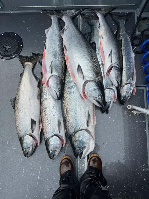 Sitka: 6-Hour Premiere Salmon Fishing - Key Points
