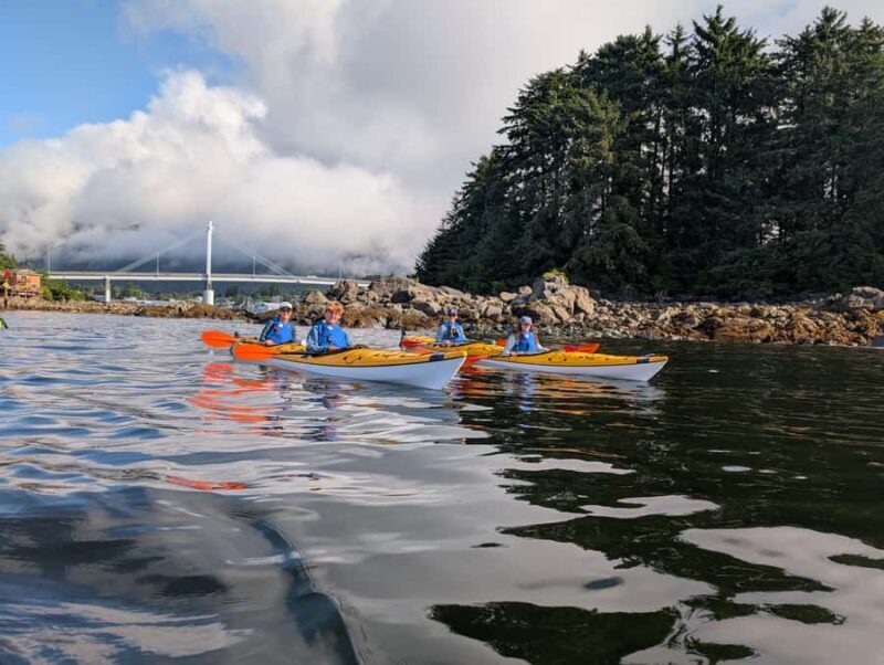 Sitka, Alaska: Island Discovery Kayak Tour - Why Choose the Sitka Island Discovery Kayak Tour?