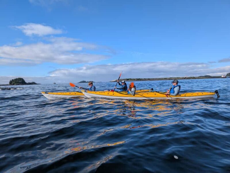 Sitka, Alaska: Island Discovery Kayak Tour - The Experience Provider