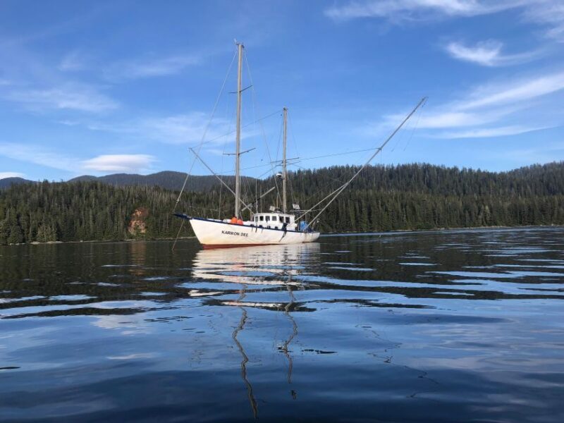 Sitka Boat Tours: whale watching, hot springs, kayaking - Key Points