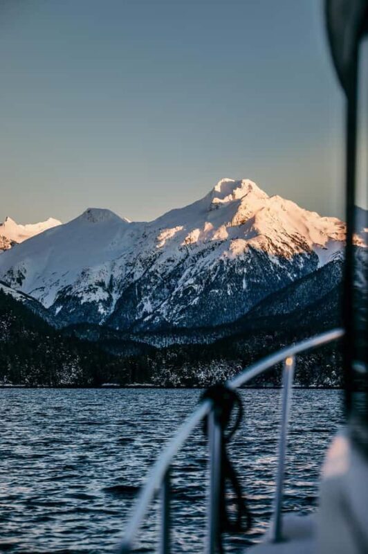 Sitka: Marine Wildlife Tour - Price Point and Value