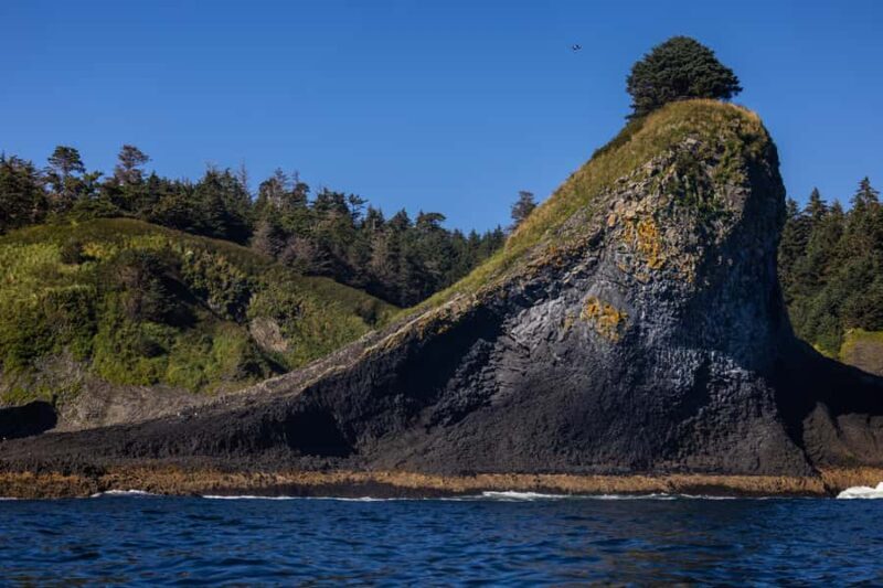Sitka: Marine Wildlife Tour - Who Will Love This Tour?