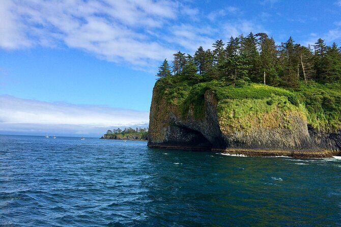 Sitka Sea Birds & Marine Life Private Charter Scenic Eco-Tour - Key Points