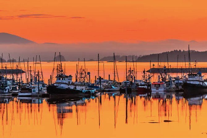 Sitka Shore Excursion: Sitka Harbor & Islands Guided Kayaking - Authentic Experiences & Tips