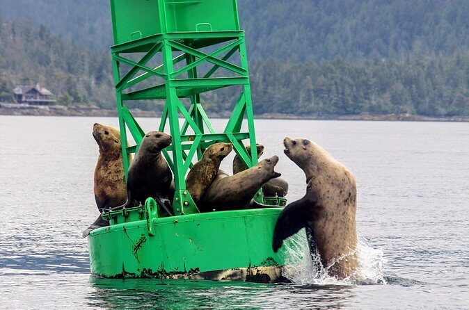 Sitka Sound Marine Wildlife Tour - FAQ
