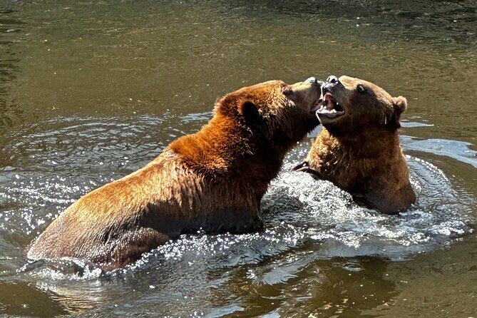 Sitka's Favorite Sites Private Land Tour for 6 (Meal option avail - Practical Considerations & Tips