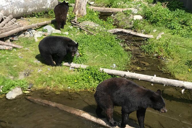 Sitka's only Private Simply Amazing Tour - An In-Depth Look at the Sitka Private Simply Amazing Tour