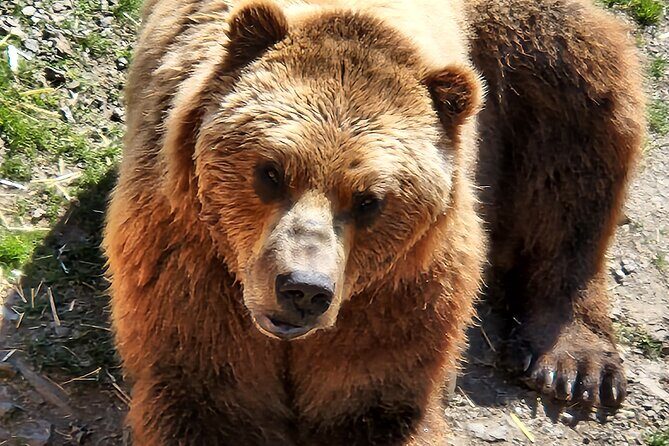 Sitka's only Private Simply Amazing Tour - Final Thoughts