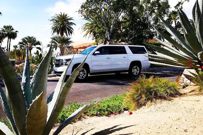 SJD Airport to Cabo San Lucas - One way service - FAQs