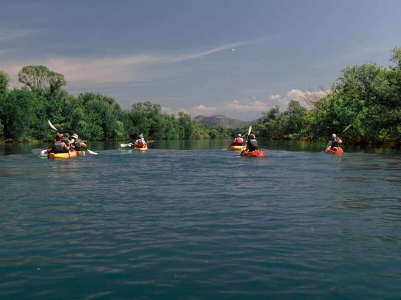Skadar Lake: 4-Hour Guided tours on Kayak - What’s Included & What to Know