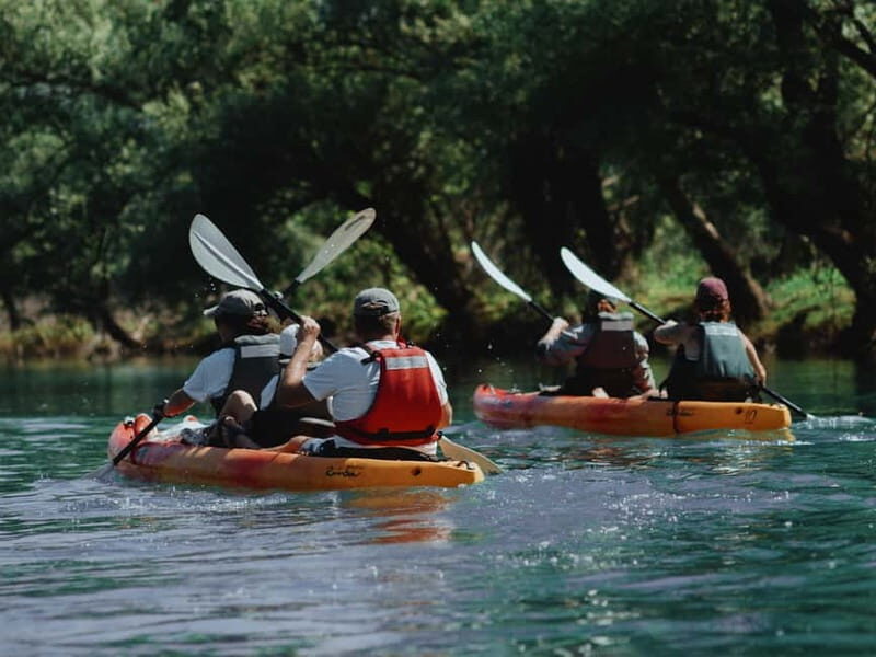 Skadar Lake: 4-Hour Guided tours on Kayak - The Experience of Wildlife & Nature