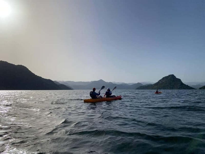 Skadar Lake: 4-Hour Guided tours on Kayak - Who Will Love This Tour?