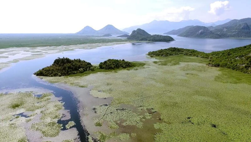 SKADAR LAKE: A national park with amazing flora and fauna! - Is This Tour Right for You?