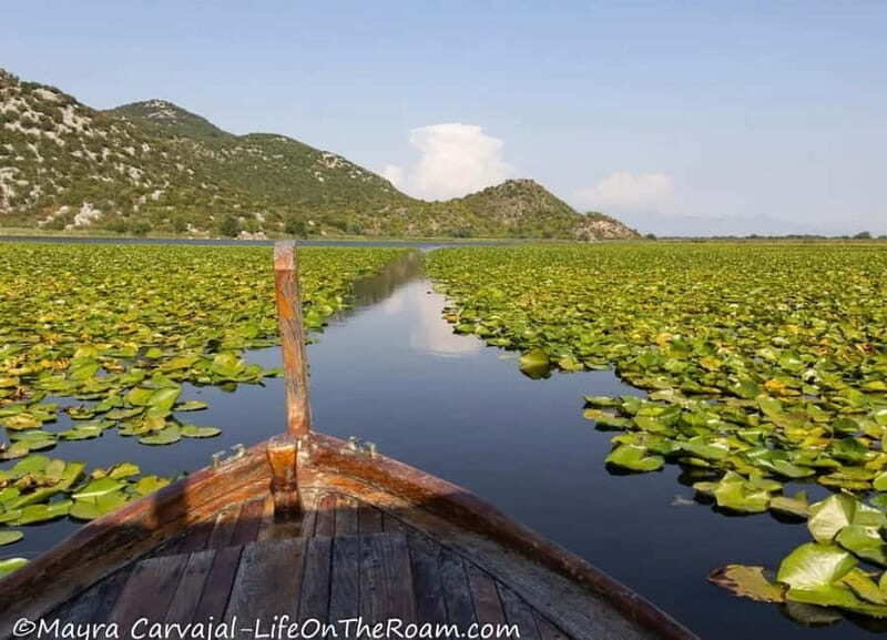 Skadar Lake Boat Tour with Transfer from Podgorica - An Authentic Look at the Skadar Lake Boat Tour from Podgorica