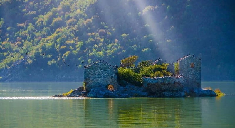 Skadar Lake Boat Tour with Transfer from Podgorica - Why This Tour Offers Great Value