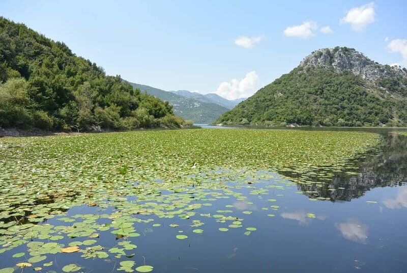 Skadar Lake day trip from Herceg Novi - Discovering the Natural Beauty of Skadar Lake