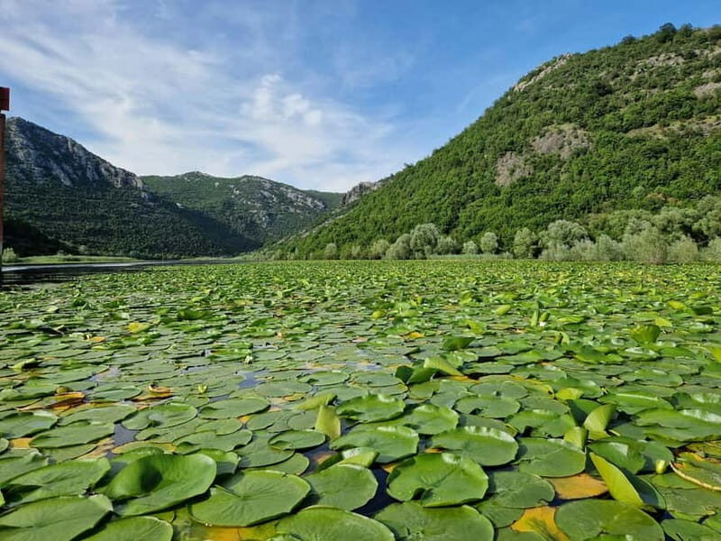 Skadar Lake: Explore the nature and national cuisine - Final Thoughts: Who Is This Tour Best For?